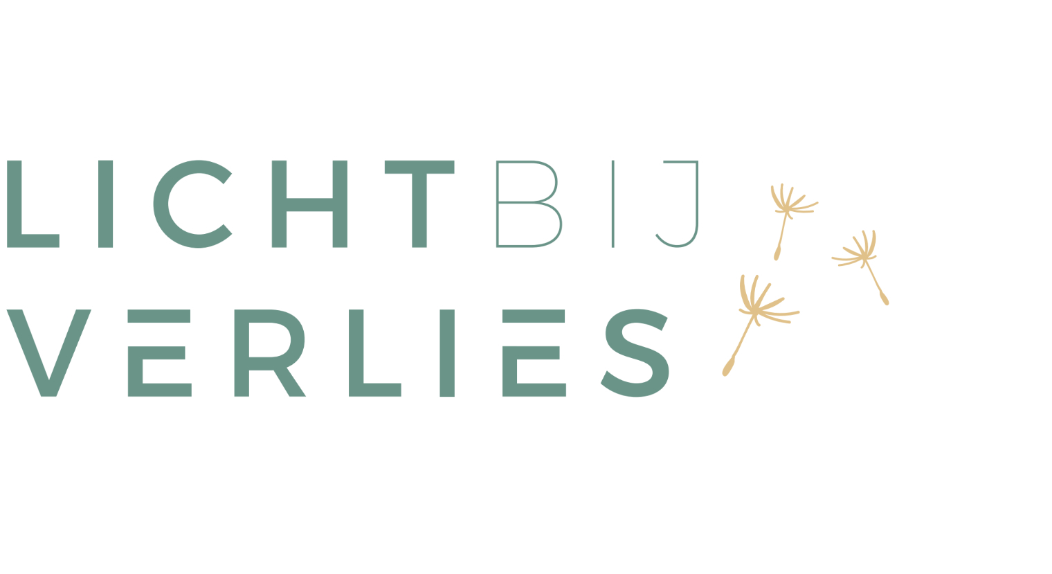 Logo Licht bij verlies
